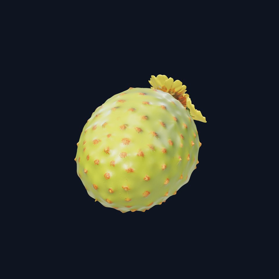 Cactus Flower Model Pack with Detailed Textures